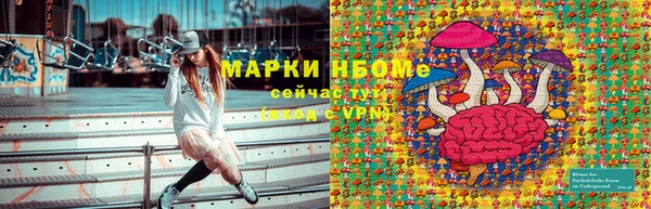 индика Алзамай