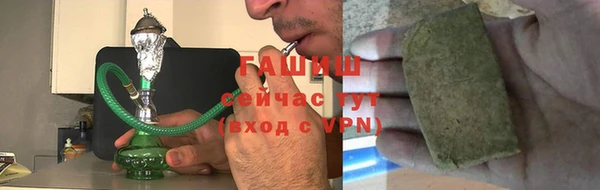 индика Алзамай