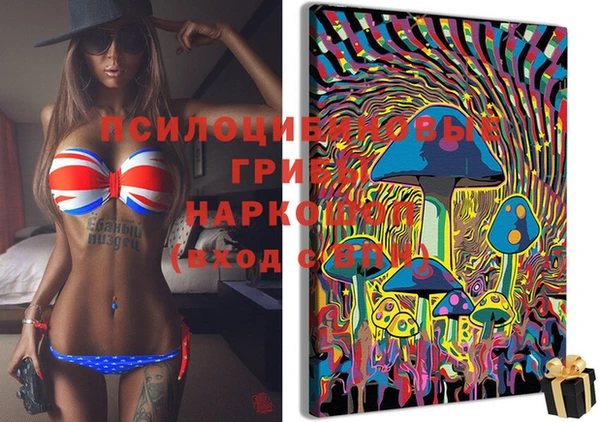индика Алзамай