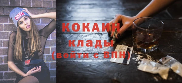 индика Алзамай