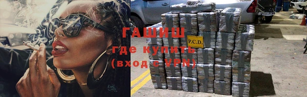 индика Алзамай