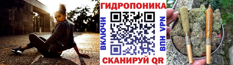 Марихуана семена  Ивангород 